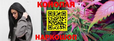 скорость Гатчина